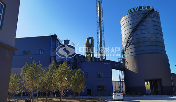 15噸DZL系列燃生物質三鍋筒蒸汽鍋爐項目